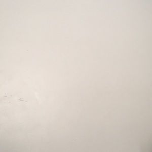 Meet your Posher, Laquanda